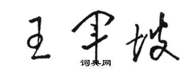 駱恆光王軍坡草書個性簽名怎么寫