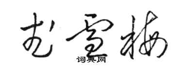 駱恆光武雪梅草書個性簽名怎么寫