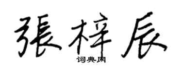 王正良張梓辰行書個性簽名怎么寫