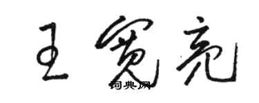 駱恆光王寬亮草書個性簽名怎么寫