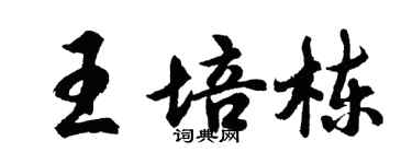 胡問遂王培棟行書個性簽名怎么寫
