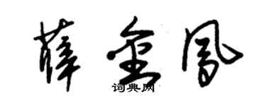 朱錫榮薛金鳳草書個性簽名怎么寫