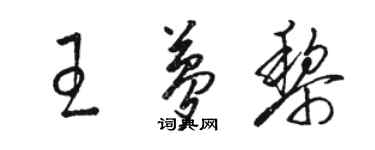 駱恆光王夢黎草書個性簽名怎么寫