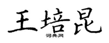 丁謙王培昆楷書個性簽名怎么寫