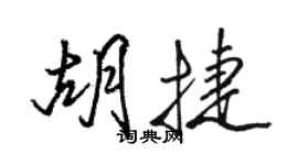 駱恆光胡捷行書個性簽名怎么寫