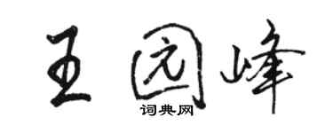 駱恆光王園峰行書個性簽名怎么寫