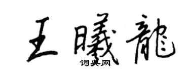 王正良王曦龍行書個性簽名怎么寫