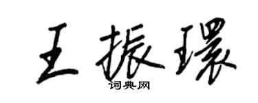 王正良王振環行書個性簽名怎么寫