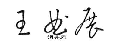 駱恆光王曲展草書個性簽名怎么寫