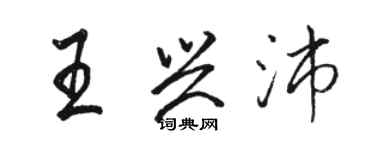 駱恆光王興沛行書個性簽名怎么寫