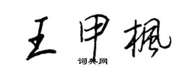 王正良王甲楓行書個性簽名怎么寫