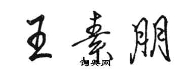 駱恆光王素朋行書個性簽名怎么寫