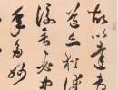 張瑞圖草書書法作品欣賞_張瑞圖草書字帖(第20頁)_書法字典