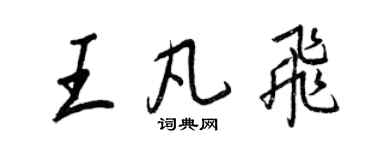 王正良王凡飛行書個性簽名怎么寫