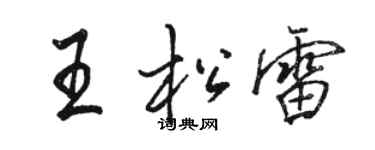 駱恆光王松雷行書個性簽名怎么寫