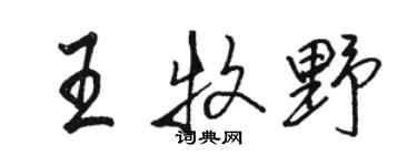 駱恆光王牧野行書個性簽名怎么寫