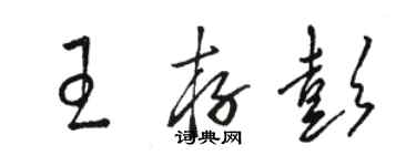 駱恆光王存彭草書個性簽名怎么寫