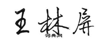 駱恆光王林屏行書個性簽名怎么寫