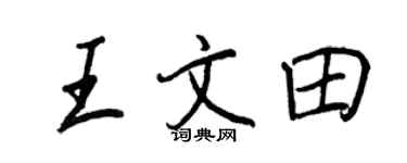 王正良王文田行書個性簽名怎么寫