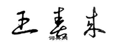 曾慶福王春來草書個性簽名怎么寫