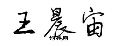 曾慶福王晨宙行書個性簽名怎么寫