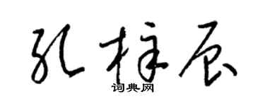 梁錦英孔梓辰草書個性簽名怎么寫