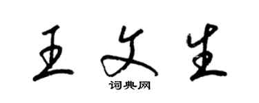 梁錦英王文生草書個性簽名怎么寫