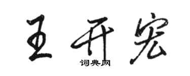 駱恆光王開宏行書個性簽名怎么寫