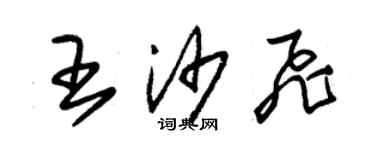 朱錫榮王沙飛草書個性簽名怎么寫