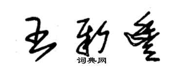 朱錫榮王新豐草書個性簽名怎么寫