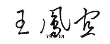 駱恆光王鳳宜草書個性簽名怎么寫