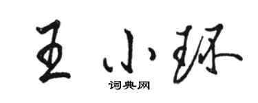 駱恆光王小環行書個性簽名怎么寫
