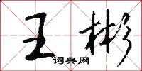 王彬怎么寫好看