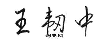 駱恆光王韌中行書個性簽名怎么寫