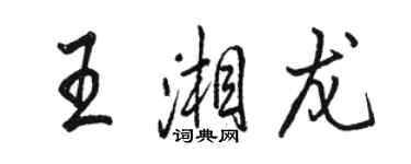 駱恆光王湘龍行書個性簽名怎么寫