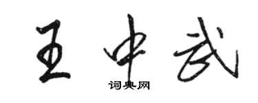 駱恆光王中武行書個性簽名怎么寫