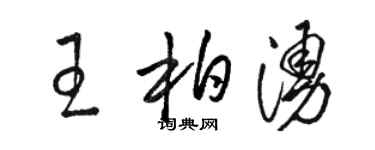 駱恆光王柏涌草書個性簽名怎么寫