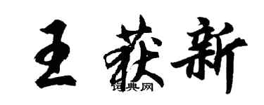 胡問遂王獲新行書個性簽名怎么寫