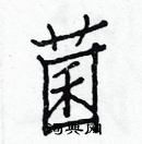 白克儉寫的硬筆楷書菌