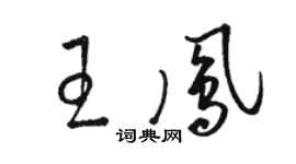 駱恆光王鳳草書個性簽名怎么寫