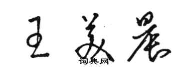 駱恆光王美晨草書個性簽名怎么寫