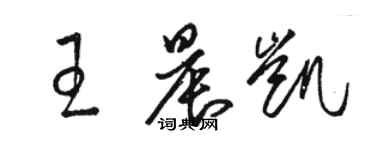 駱恆光王晨凱草書個性簽名怎么寫