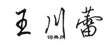 駱恆光王川蕾行書個性簽名怎么寫