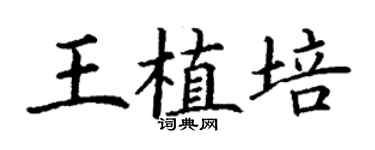 丁謙王植培楷書個性簽名怎么寫