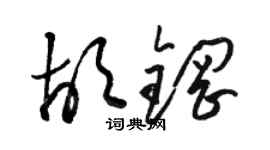 駱恆光胡鋼草書個性簽名怎么寫