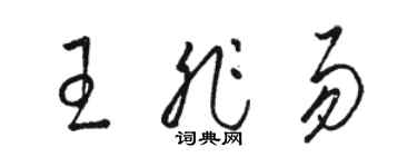 駱恆光王非易草書個性簽名怎么寫