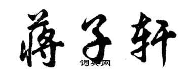 胡問遂蔣子軒行書個性簽名怎么寫