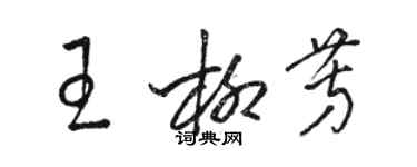 駱恆光王柳芳草書個性簽名怎么寫