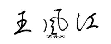 梁錦英王風江草書個性簽名怎么寫