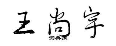 曾慶福王尚宇行書個性簽名怎么寫